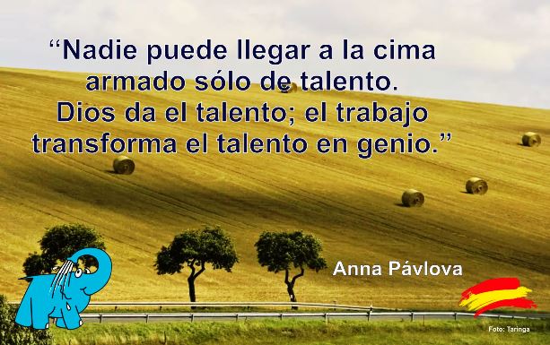  Nadie puede llegar a la cima armado sólo de talento. Dios da el talento; el trabajo transforma el talento en genio.